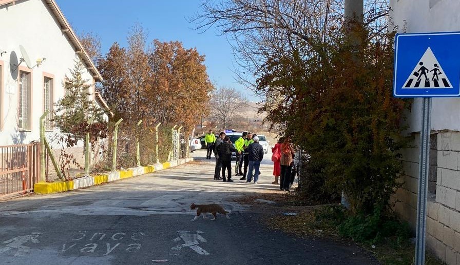 Konya Ereğli İlçesinde Otomobilin Çarptığı Öğrenci Yaralandı Feci Kaza Yunus
