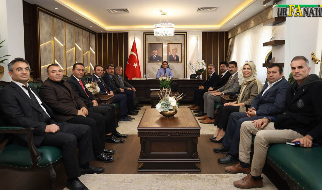 Haliliye İlçesinde 11 Yeni Okul Hizmete AçıldıHaberin BaşlıklarıHaliliye İlçesinde 11