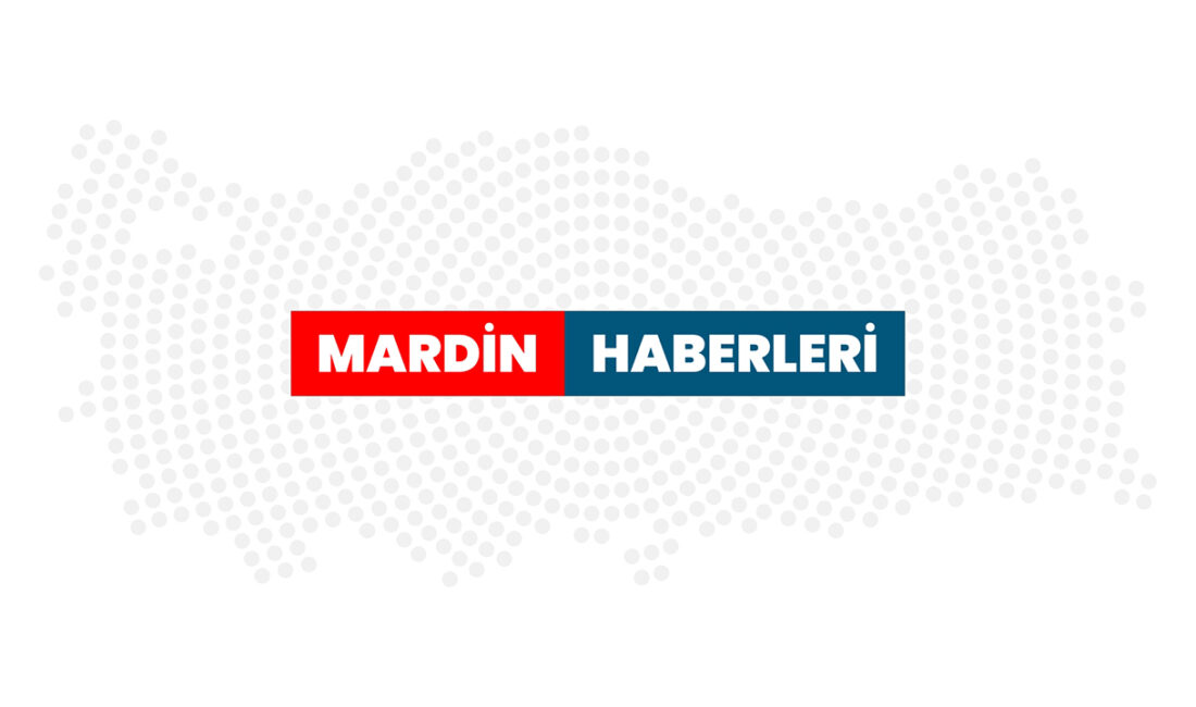 Mardin Artuklu Üniversitesi Öğrencilerinden 7 Proje, ÜNİDES Programından Destek Almaya
