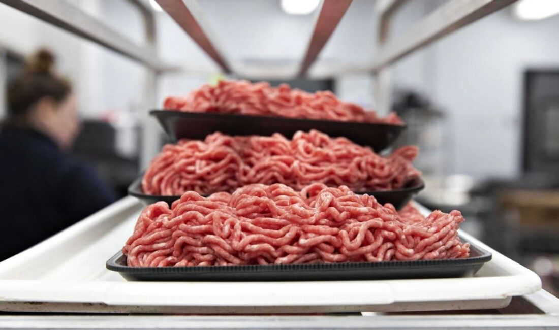 E. Coli Kontaminasyonu Nedeniyle Kıyma Ürünleri Geri Çağrıldı Kıymalar İçin