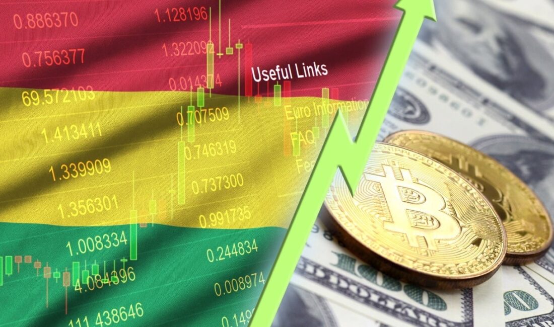 Bolivya Merkez Bankası, artık 252.000’den fazla Bolivyalının farklı platformlarda dijital