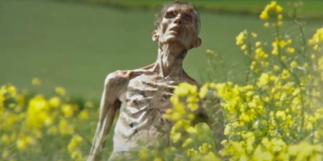 Cillian Murphy ve 28 Years Later: Danny Boyle ve Alex