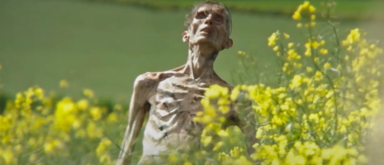 Cillian Murphy Yorgun Bir Zombiyi Canlandiriyor Yeni Korku Filmiyle