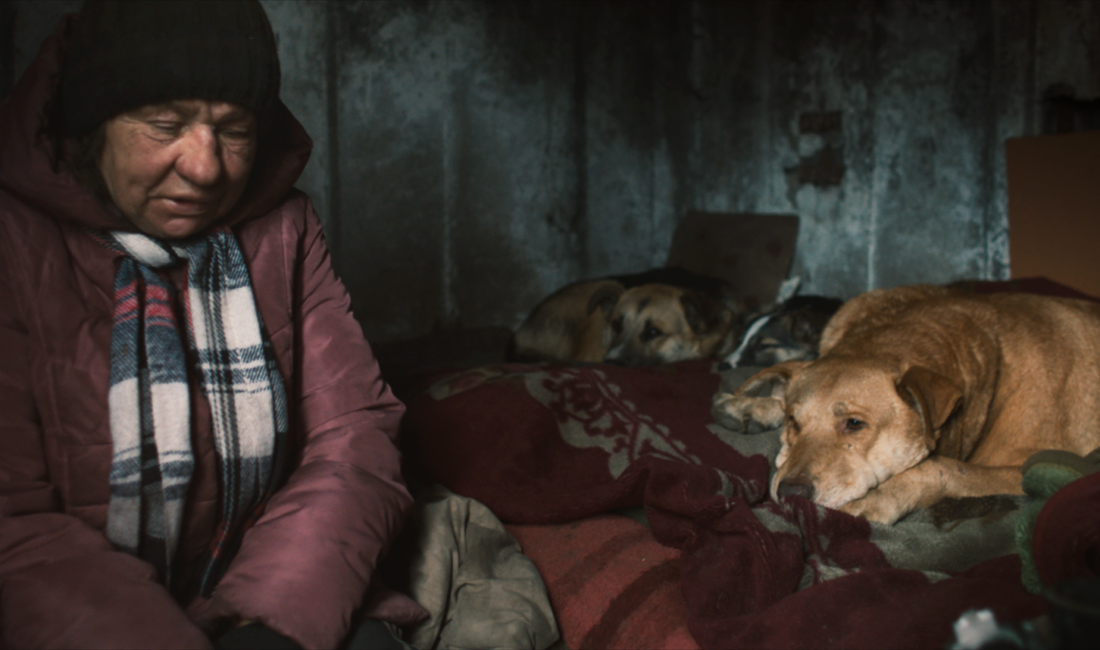 Filmler Soruyor: Hangi Haklar? – ArtDog Istanbul Okuma: 4 İlgili