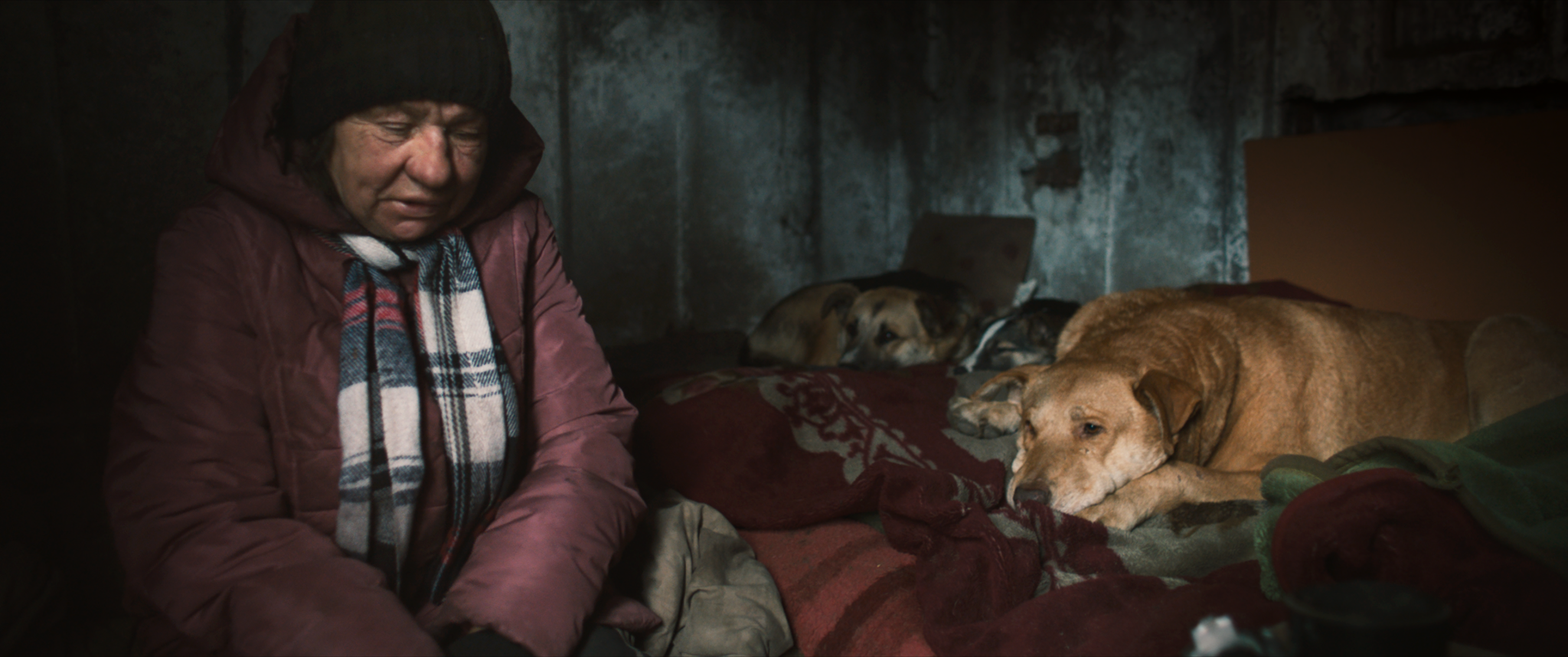 Filmler Soruyor: Hangi Haklar? – ArtDog Istanbul