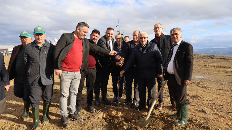 Hatıra Ormanı