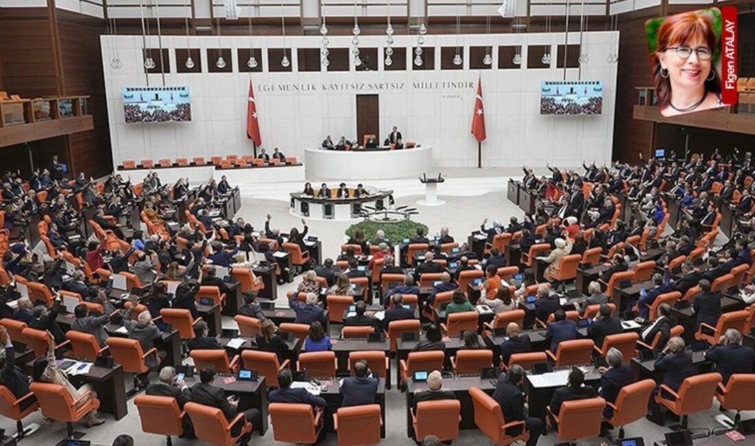 Eğitim Reformu Girişimi Politika Analistiyle MEB Bütçesi Üzerine Konuşma MEB
