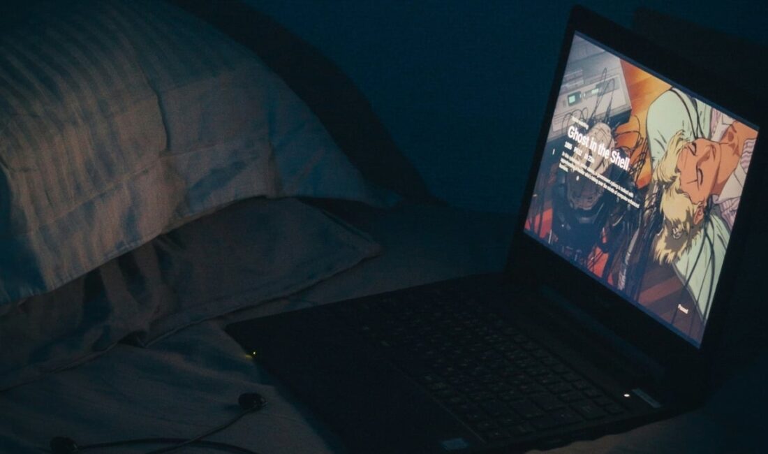 Kasım Ayında Netflix’e Gelecek Yeni Yapımlar Yılın son ayına girerken,