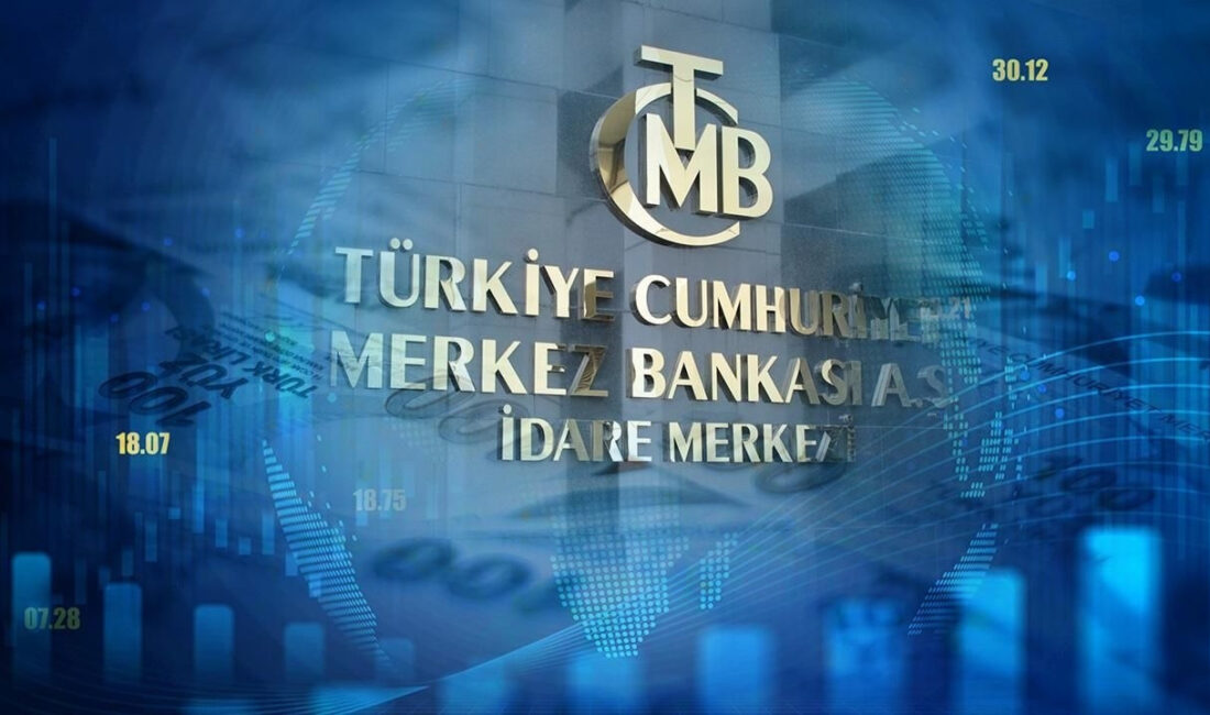 Türkiye Cumhuriyet Merkez Bankası, 5 Ödeme Hizmetleri Kuruluşunun Faaliyet Alanlarını