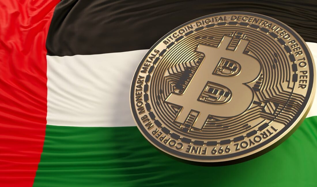 Blockchain tabanlı bir seyahat paylaşım platformunun kurucu ortağı, Birleşik Arap
