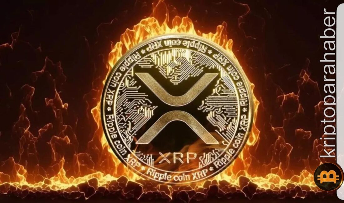 kripto para piyasasında XRP, Kasım ayının en iyi performans gösteren