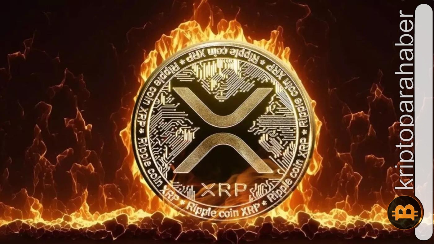 kripto para piyasasında XRP, Kasım ayının en iyi performans gösteren