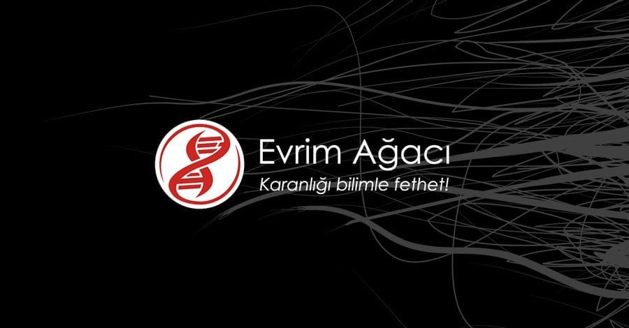 Evrim Ağacı, destekçileri tarafından tamamen finanse edilen ve bağımsız bir