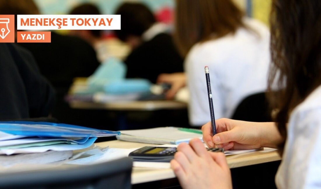 İklim Krizi ve Eğitim: Türkiye’de Eğitimin İklim Değişikliğiyle Mücadelesi İlk