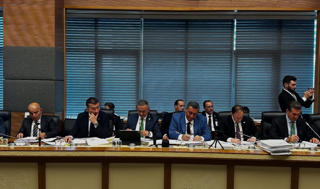 Mehmet Tahtasız, TBMM Kamu İktisadi Teşebbüsleri Komisyonu’nun TMO gündemli toplantısında