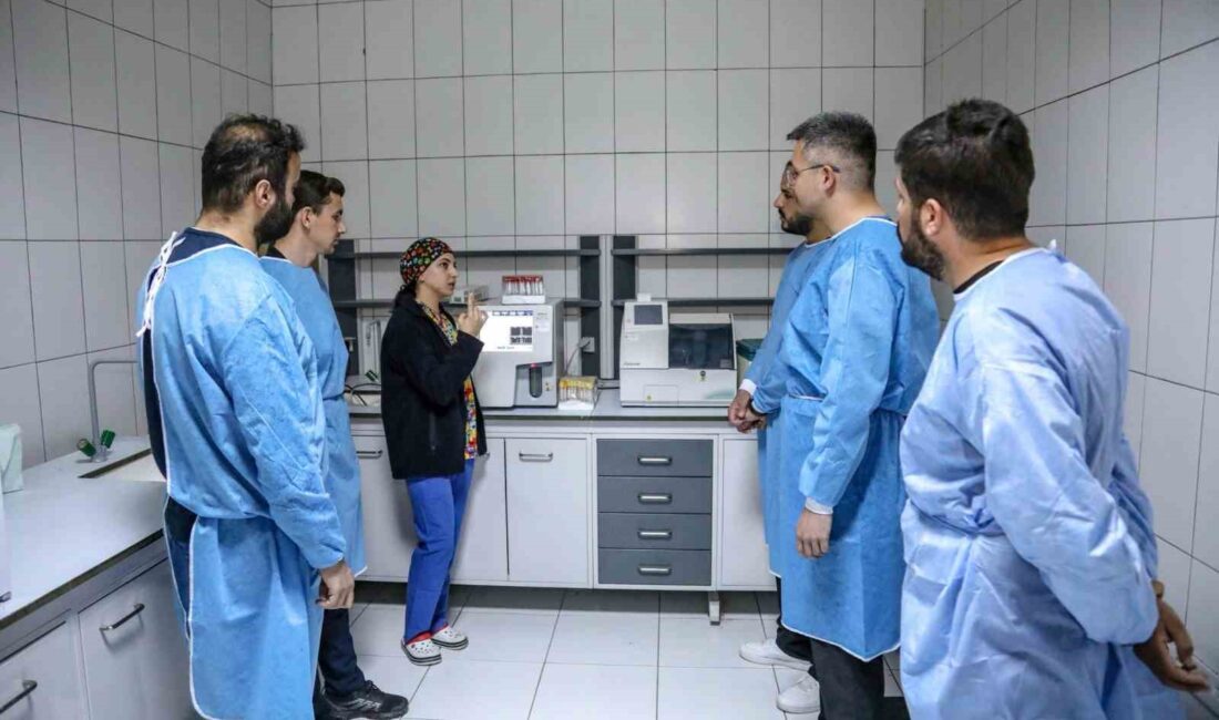 Van Büyükşehir Belediyesi, Yüzüncü Yıl Üniversitesi Veterinerlik Fakültesi öğrencilerine uygulamalı