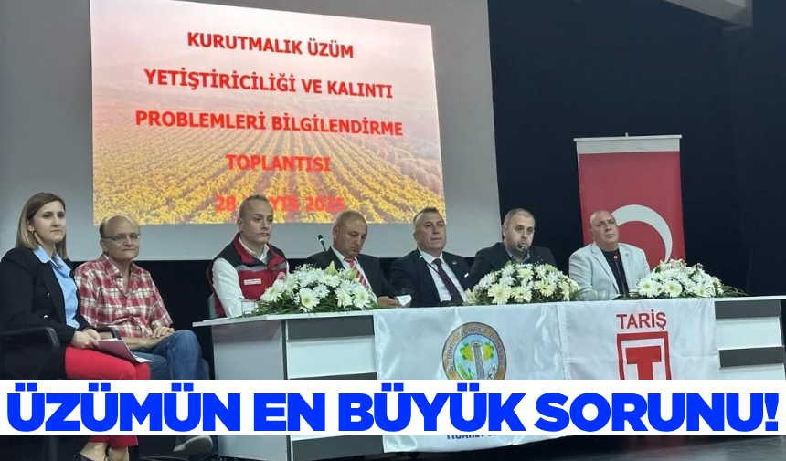 Salihli’de Sultani Çekirdeksiz Kuru Üzümde Kalıntı Sorunu Üzerine Bilgilendirme Toplantısı