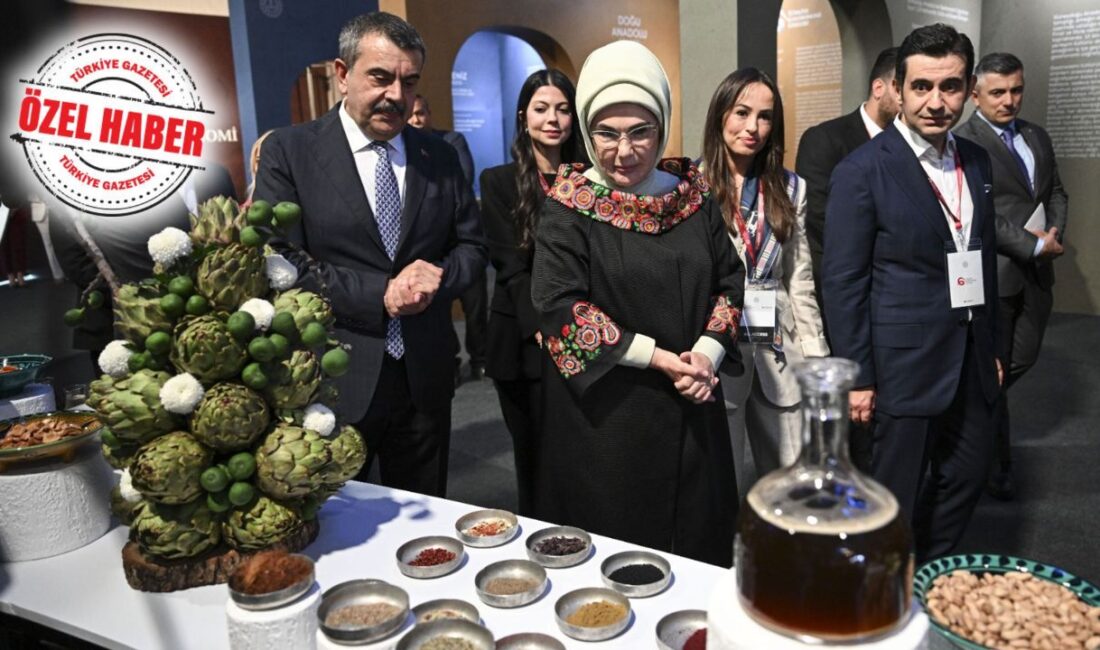Türkiye Gastronomi Liseleri Projesi Tanıtıldı: Geleceğin Şefleri YetişiyorHaberin BaşlıklarıTürkiye Gastronomi