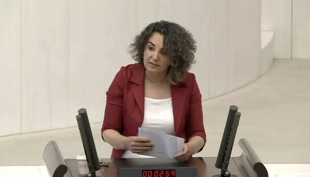 DEM Partisi Vekilinden Tartisma Yaratan LGBT Talepleri