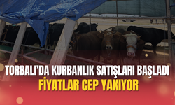 Deprem Farkındalığı İçin Torbalı'da Japon Uzman Moriwakiyle Buluşma Kurban Pazarında Sessiz Başlangıç