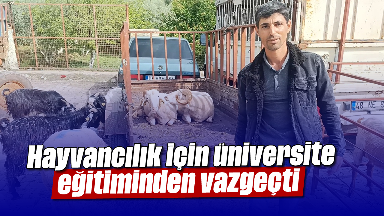 Hayvancilik Icin Universite Egitimini Birakan Genc Ciftci