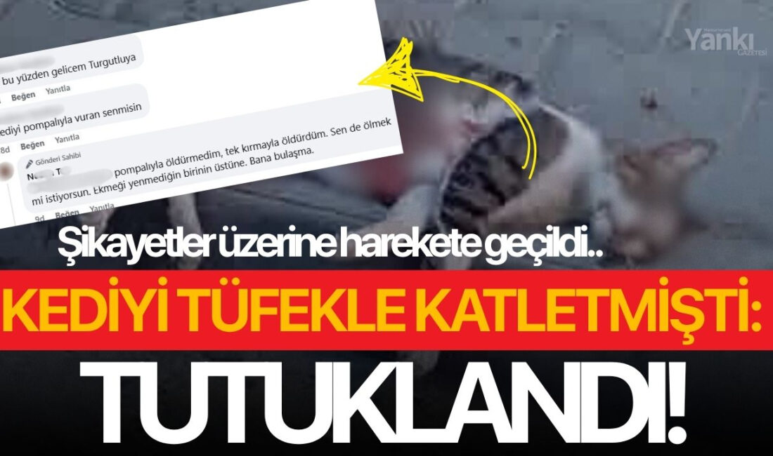 Emekli Öğretmenin İşlediği Hayvan Katliamı: Kediye Ateş Açtıktan Sonra Tutuklandı