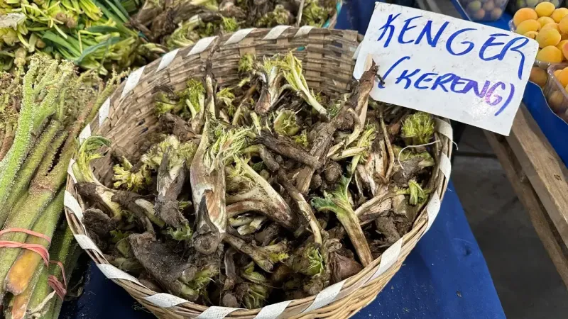 İzmit Perşembe Pazarı’nda Taze Ürün Fiyatları: Kenger ve Barbunya Öne
