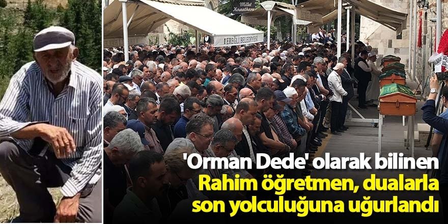Orman Dede Rahim Demirbaş, Kurduğu Ormanda Defnedilmek İstemiştiHaberin BaşlıklarıOrman Dede