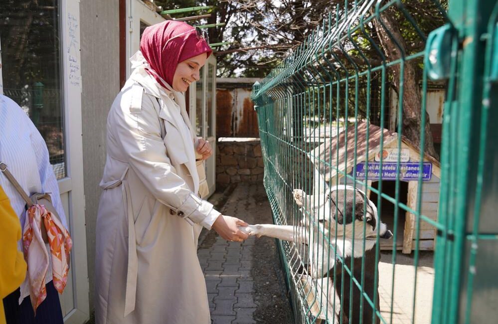Doğal Yaşam Merkezi’ne Öğrenci Ziyareti Tepebaşı Belediyesi’nin Misafirleri: Veteriner Fakültesi