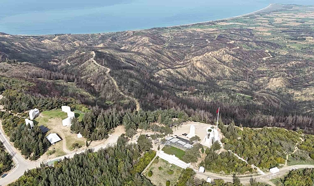 Çanakkale’de Yanan Orman Alanları Yeniden YeşeriyorHaberin BaşlıklarıÇanakkale’de Yanan Orman Alanları