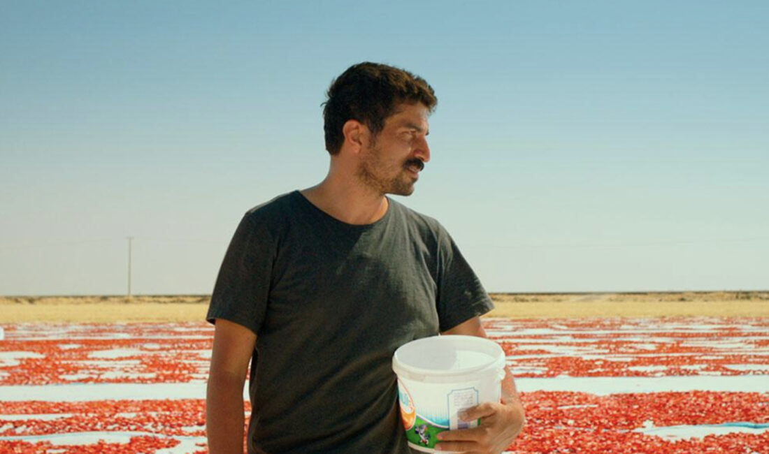 Murat Fıratoğlu’nun İlk Filmi: *Hemme’nin Öldüğü Günlerden Biri*, Kapitalizmin Anadolu’daki