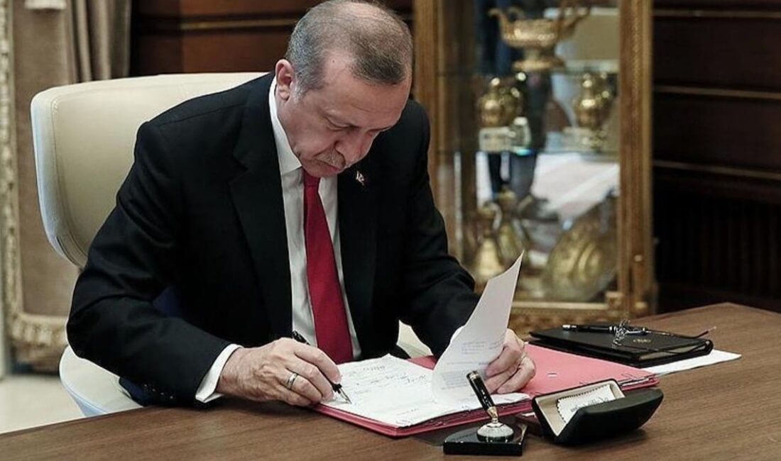 Devlet ve Erdoğan Arasındaki İlişki: Bir Analiz Memleketin Normalini Kaybetmesi