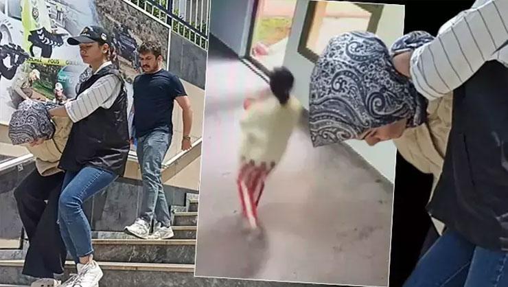 Bebek Cesedi Mezarlıkta Bulundu: Anne ve Babanın İfadesi Şok EttiHaberin