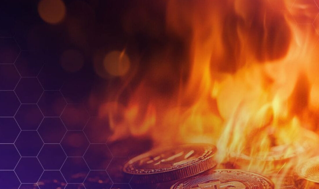 Avalon Labs’dan Şaşırtıcı Duyuru: AVL Token Arzının Yüzde 50’si Piyasadan