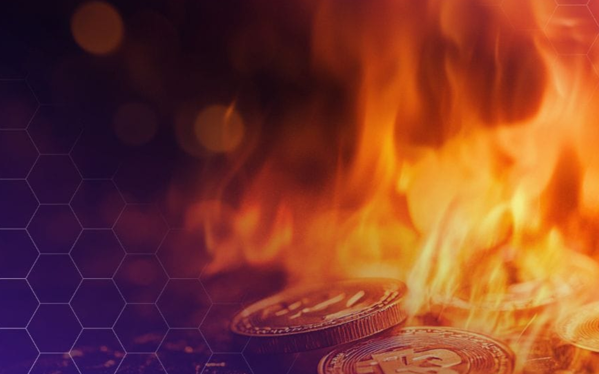 Avalon Labs’dan Şaşırtıcı Duyuru: AVL Token Arzının Yüzde 50’si Piyasadan