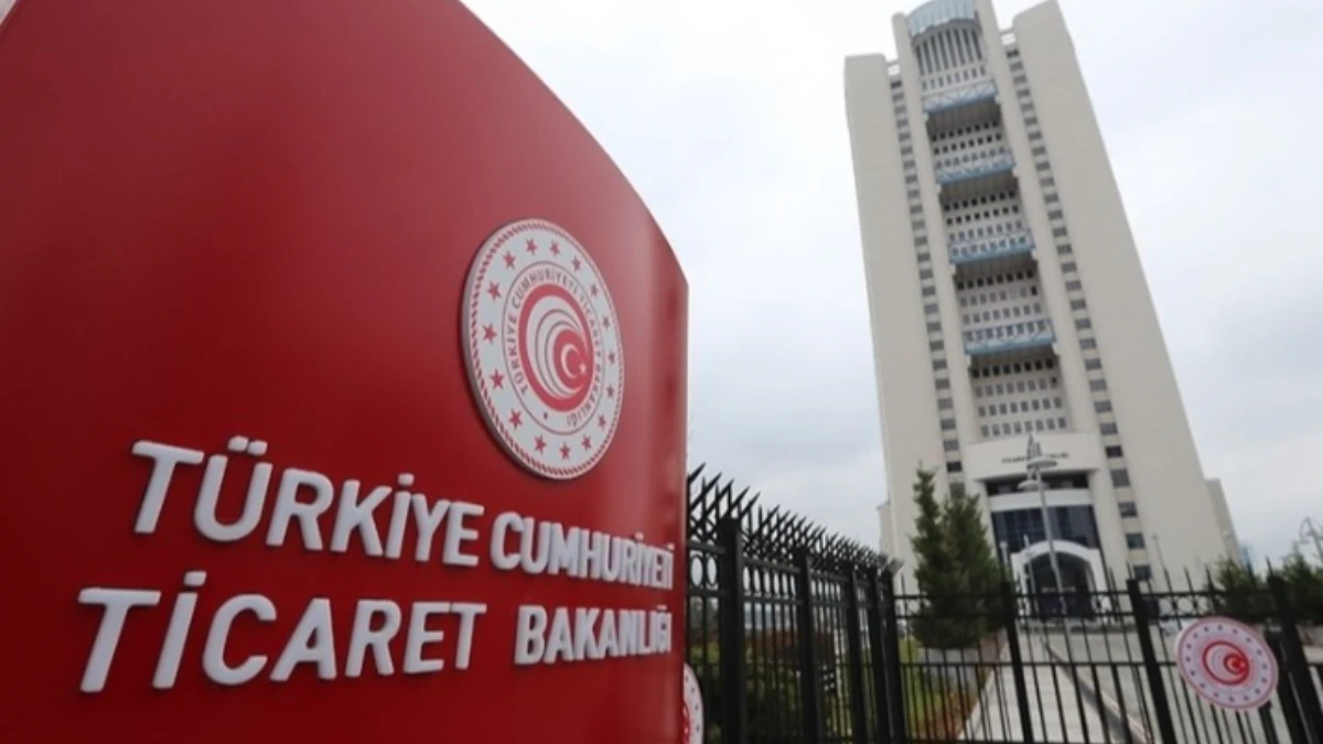 Dis Ticaret Sermaye Sirketi Statusuyle Ekonomide Yeni Hamle.webp