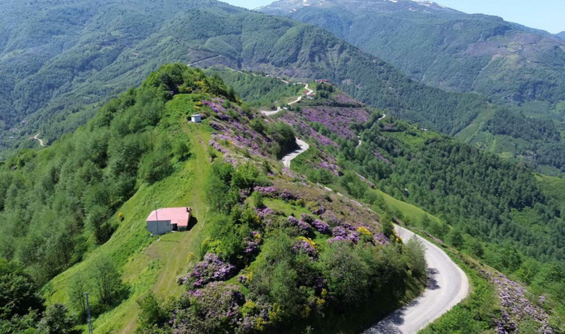 Dağların ve Yaylaların Öğretmeni: Dron ile Görüntü Çekimlerinde Yeni Bir