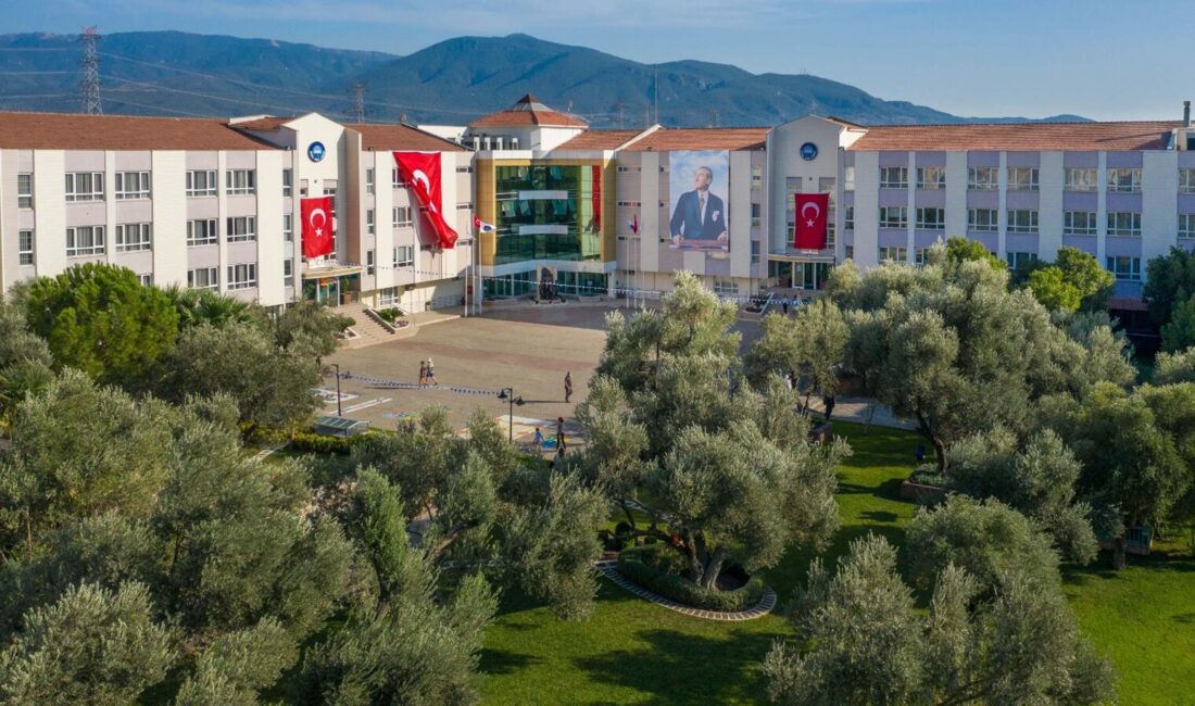2025 LGS Sonuçları ve Eğitimcilerin Değerlendirmeleri Milli Eğitim Bakanlığı (MEB),