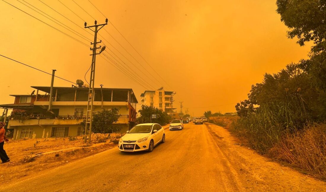 Hatay’da Orman Yangını: Ekipler Müdahale Ediyor Yangının Sebebi Henüz Belirsiz