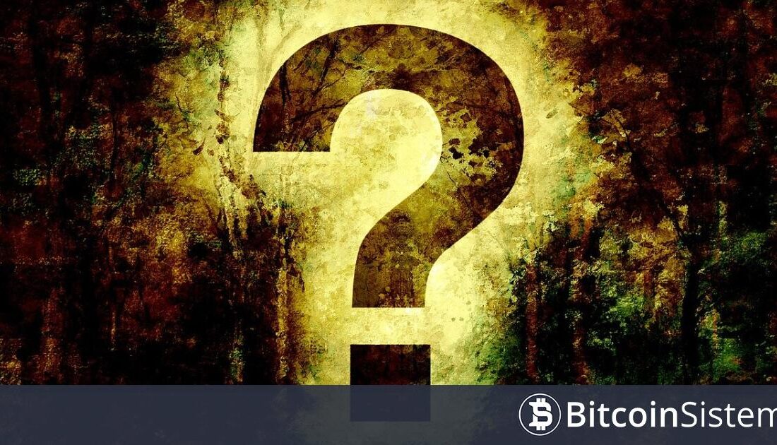 Son Bir Yılda En Fazla Geliştirici Aktivitesine Sahip 20 Altcoin