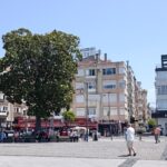 Manolya Agacinin Varligi Sansimiz – Canakkale Gundem
