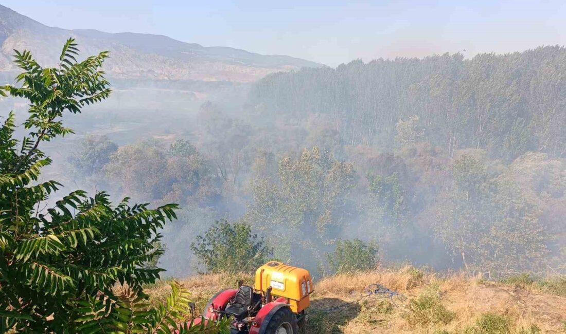 Eskişehir’de Ağaçlık Alanda Yangın: Okul Lojmanına Sıçradı Yangının Çıkışı ve