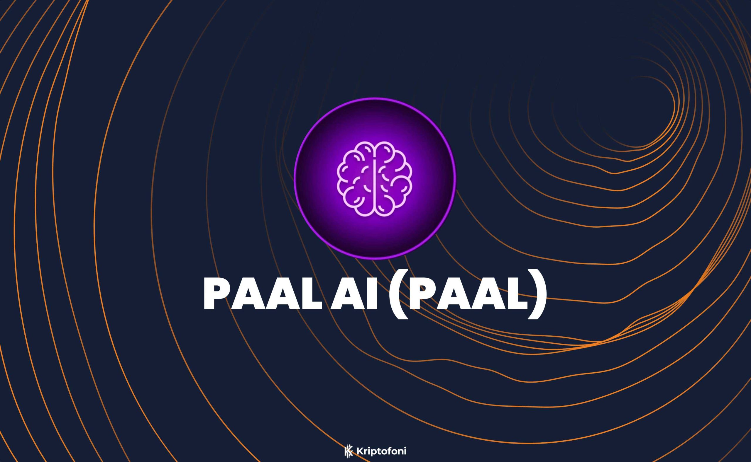 Paal AI: kripto Para Kullanıcıları için Özelleştirilebilir Yapay Zeka Çözümleri