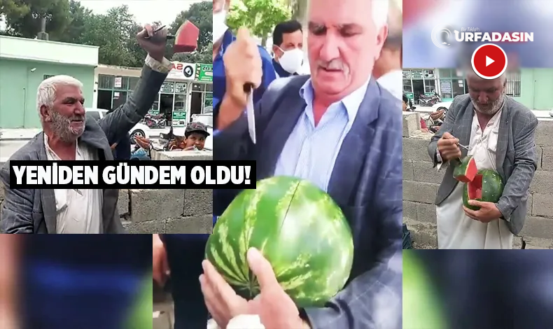 Şanlıurfa’da Hava Sıcak, Karpuzda Eğlenceli Anlar Şanlıurfa’da Karpuz Sezonu Başladı