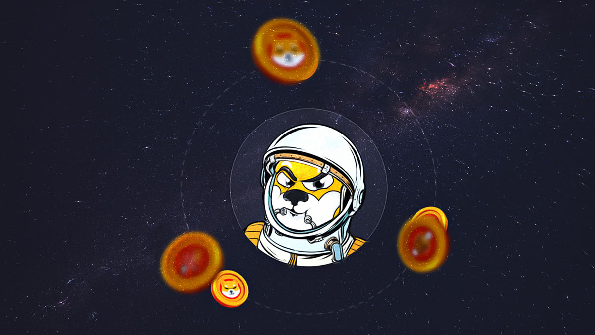 Shiba Inu Yakim Hizindaki Dusus ve Buyuk Transfer Piyasalarda Dalgalanma