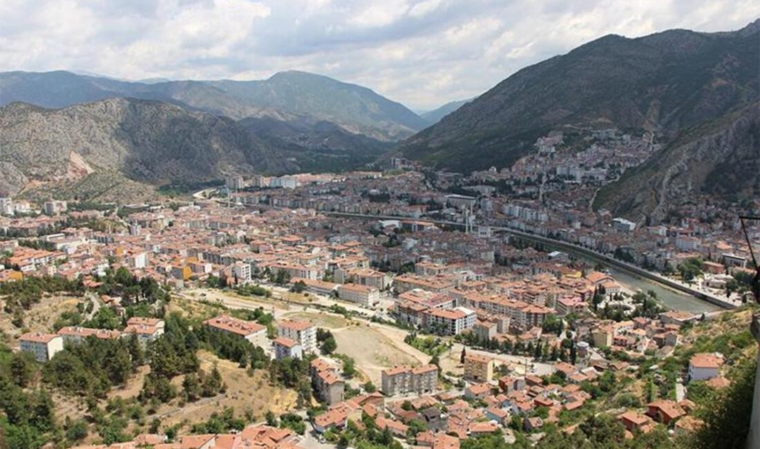 Kahverengi Kokarca ile Mücadelede Samuray Arıları Doğaya Salınıyor Tarımsal Zararlılarla
