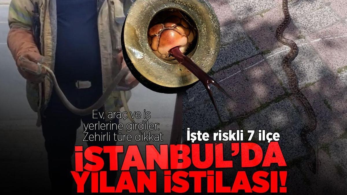 Son Dakika Istanbulda Yilan Iddialari Uzerine Aciklama ve Tepkiler