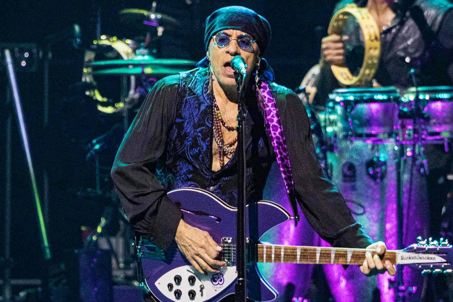 Steven Van Zandt Acil Apandisit Ameliyati Gecirdi