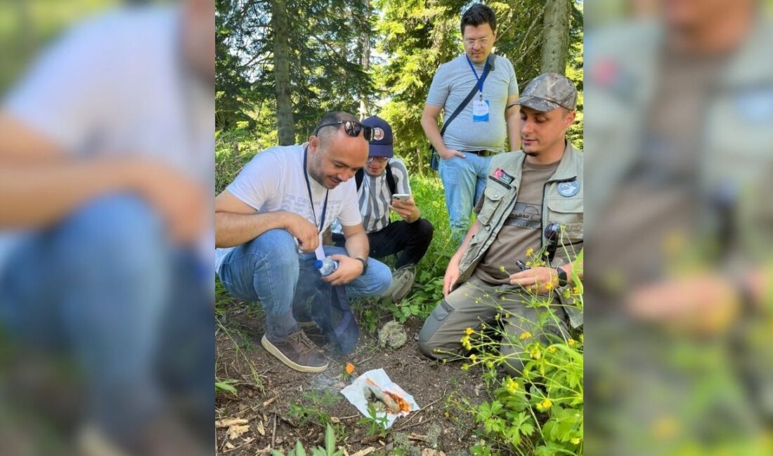 Kastamonu Üniversitesi’nde Yaban Hayatı Eğitimi: Sürdürülebilir Tarım ve Doğa Koruma