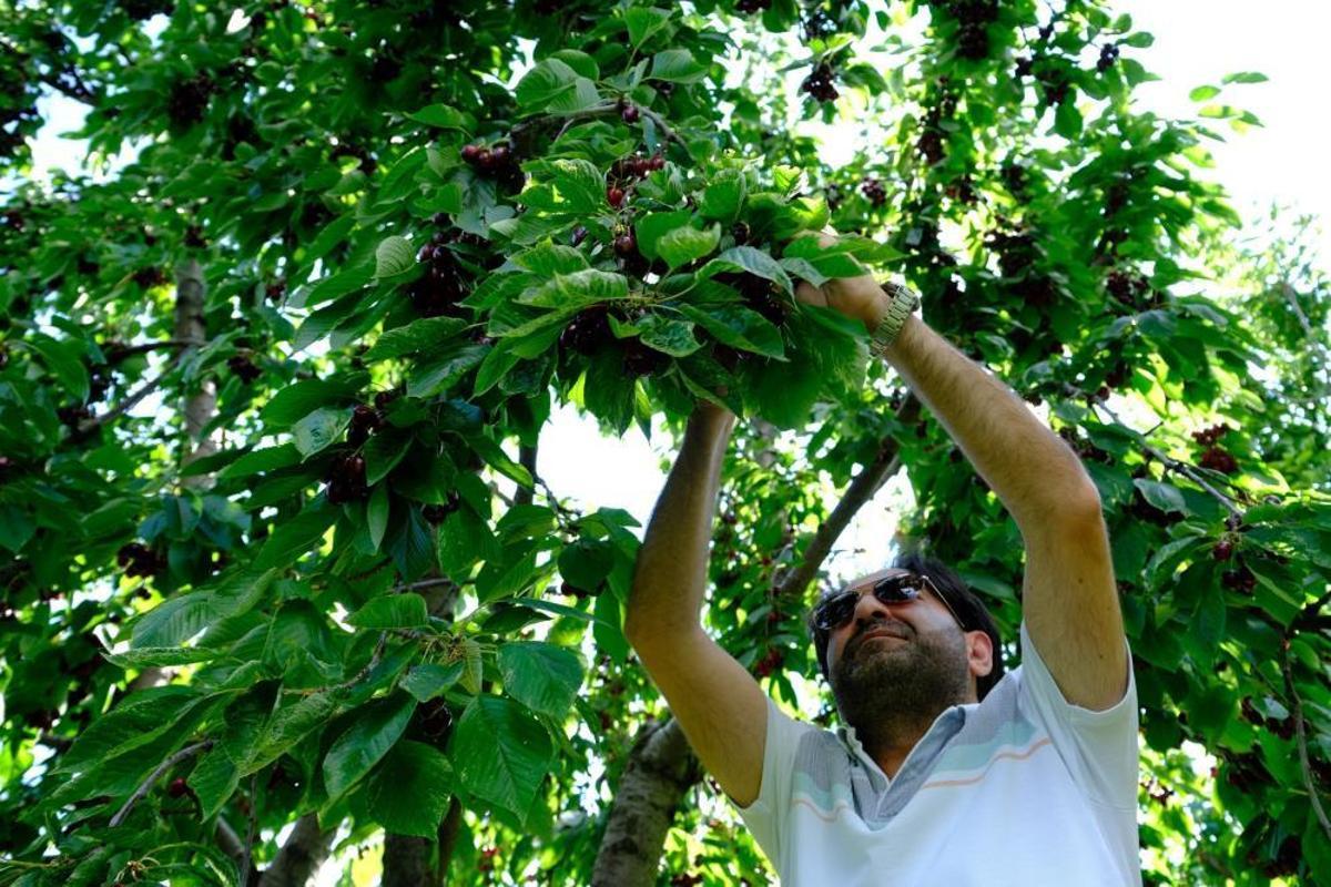 1752566202 Son Dakika 150 Liradan Satisa Cikan Hasatta Gelismeler